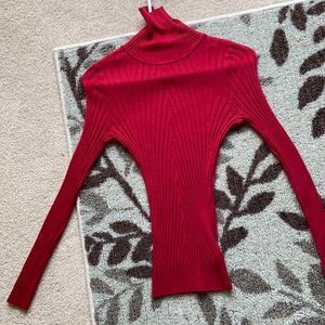 Fitted red turtle neck